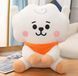 М'яка іграшка Альпака Ерджей БТС BT21 BTS 19 cм