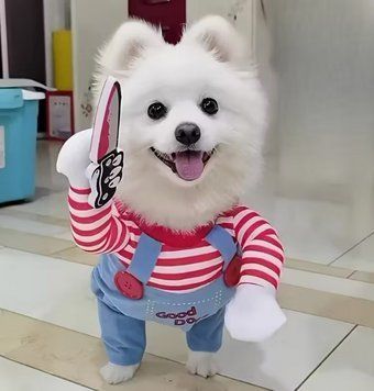 Праздничный новогодний костюм для Хэллоуина Чаки для домашних животных небольших пород собак М 3098118343 фото