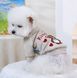 Кофта худи свитшот для домашних животных небольших пород собак L мишка 3058338855 фото 1
